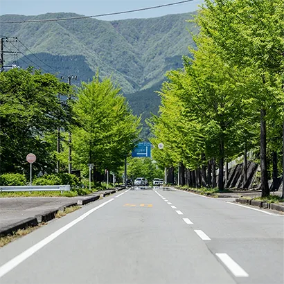 車の運転の画像
